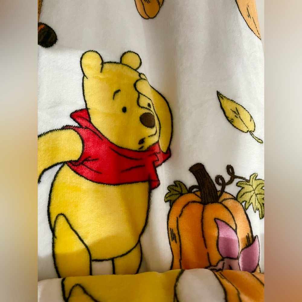 Fall Winnie the Pooh blanket